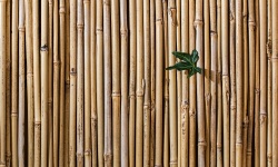 Bambusová podlaha