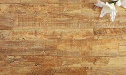 Linoleum s filcem Linoleum s filcem
